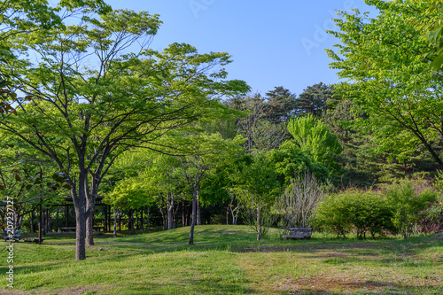 宮城県富谷市 公園の風景 