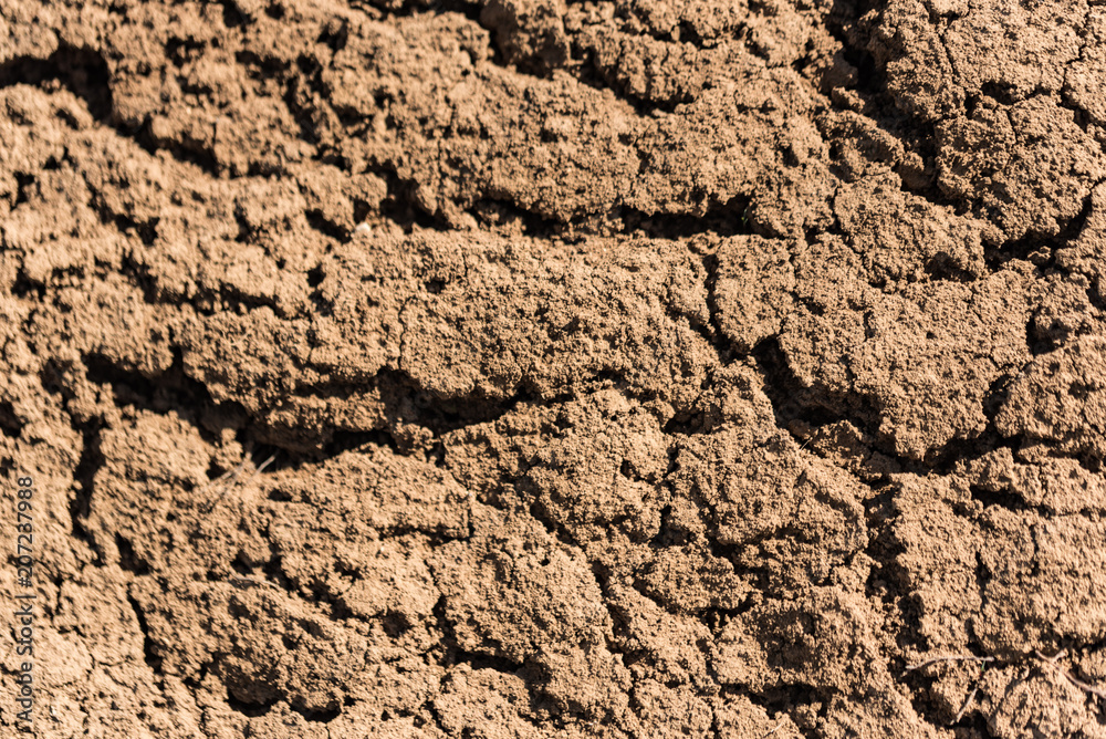 Soil texture close-up