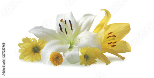 Beautiful white and yellow flower heads - white and yellow lily heads and three different daisy type flower heads creating a tight bunch isolated on white background 