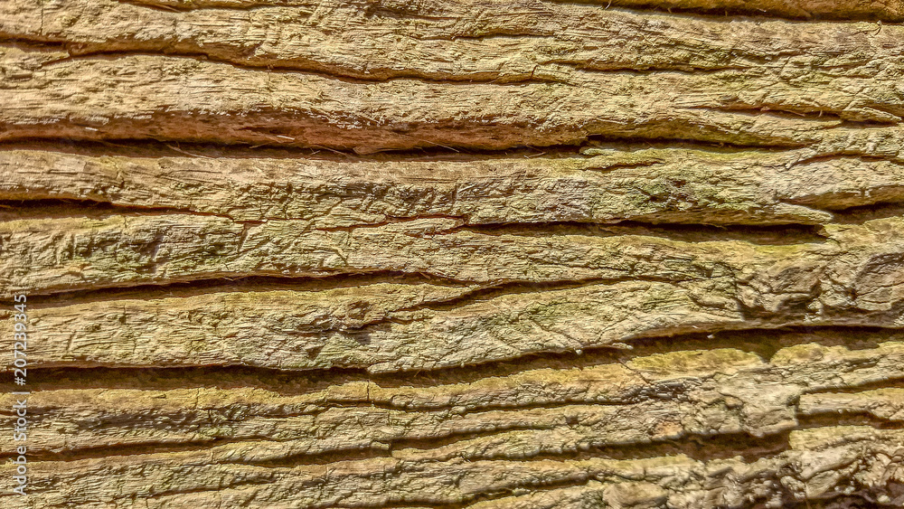 Old wood surface