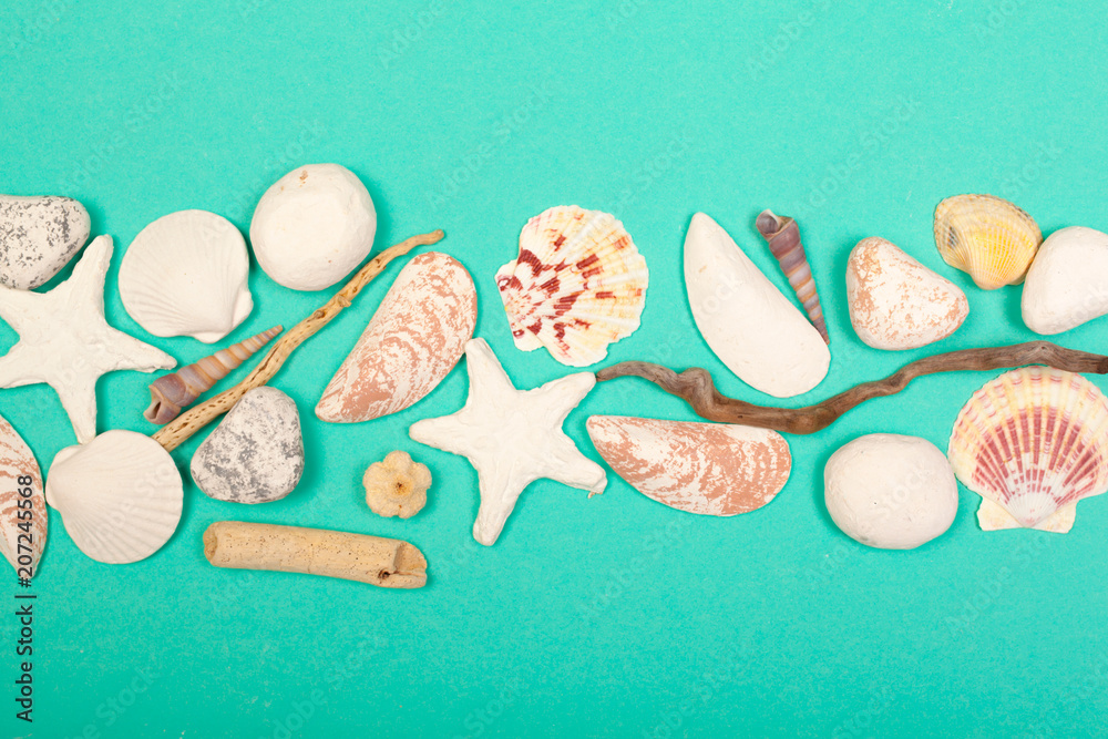 Tropical Background. Seashell on colourful trendy modern fashion background. Tropical Background. Seashell on colourful trendy modern fashion background.