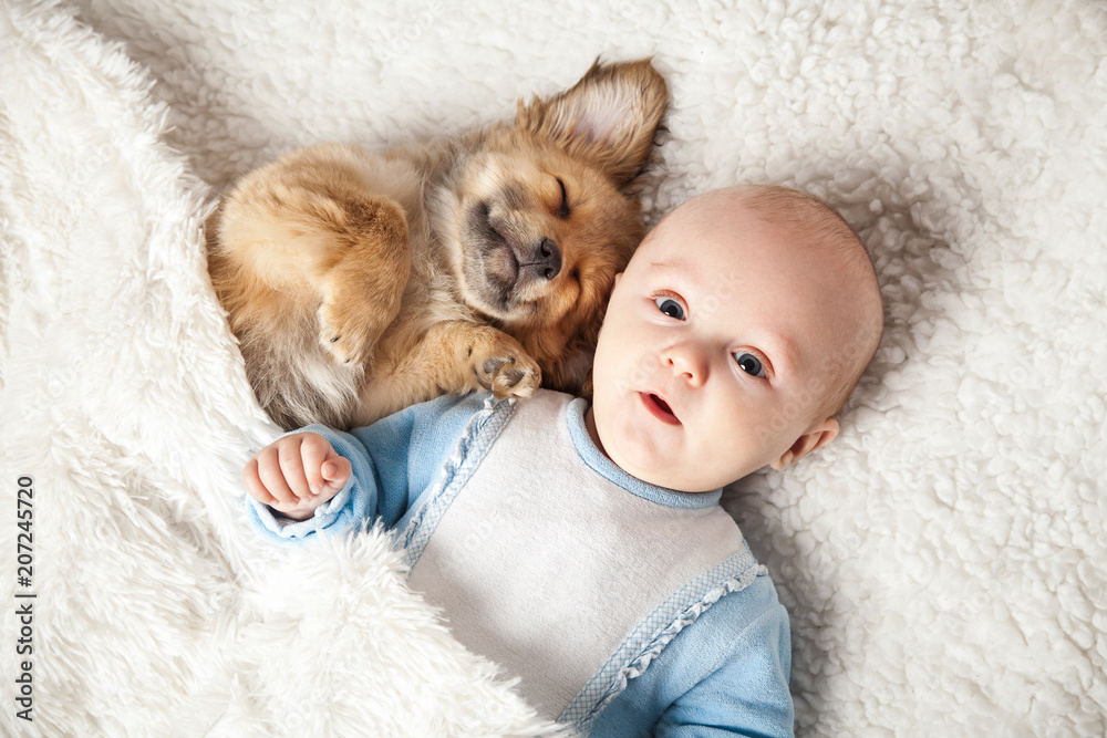 Baby schläft mit dem Welpe Stock Photo Adobe Stock