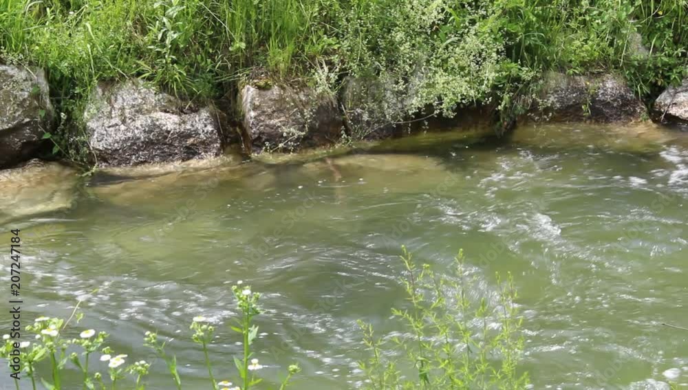 Canale d'acqua in campagna - relax e tranquillità Canale d'acqua in campagna - relax e tranquillità