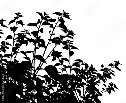 Generic vegetation silhouette