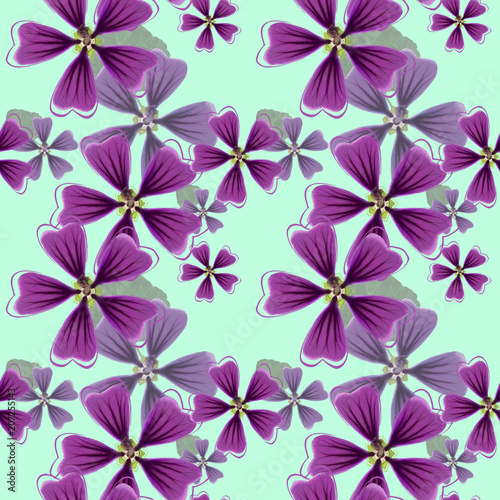 Lavatera  mallow  malva. Seamless pattern texture of flowers. Floral background  photo collage