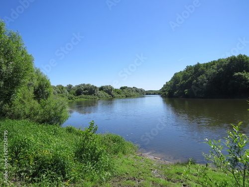 River.  Bryansk district.  The Vast Russia  Sergey  Bryansk. 