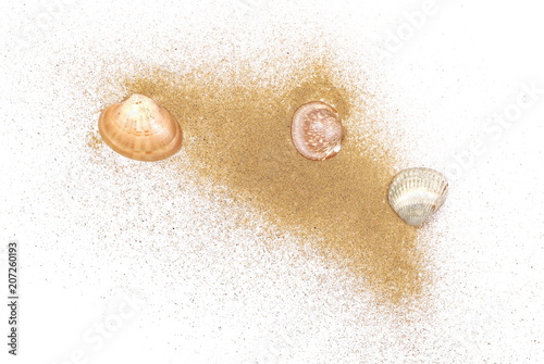 Sea shells in sand pile isolated on white background, top view