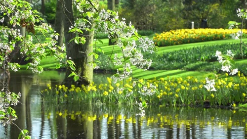 Beautiful garden with a lake and colorful flowers. 4k