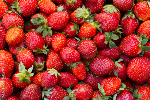 a lot of fresh sweet strawberries