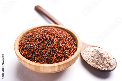 Ragi / Nachni , also known as finger millet and ragi flour, which is a healthy food and is gluten-free. photo