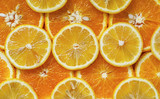 orange and lemon cut into circles2