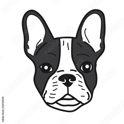portrait of french bulldog doodle on White Background,Vector illustration