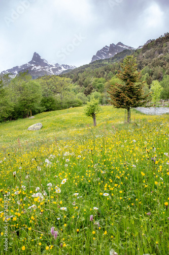 Parc Mont Avic Aosta Valley © Siriane