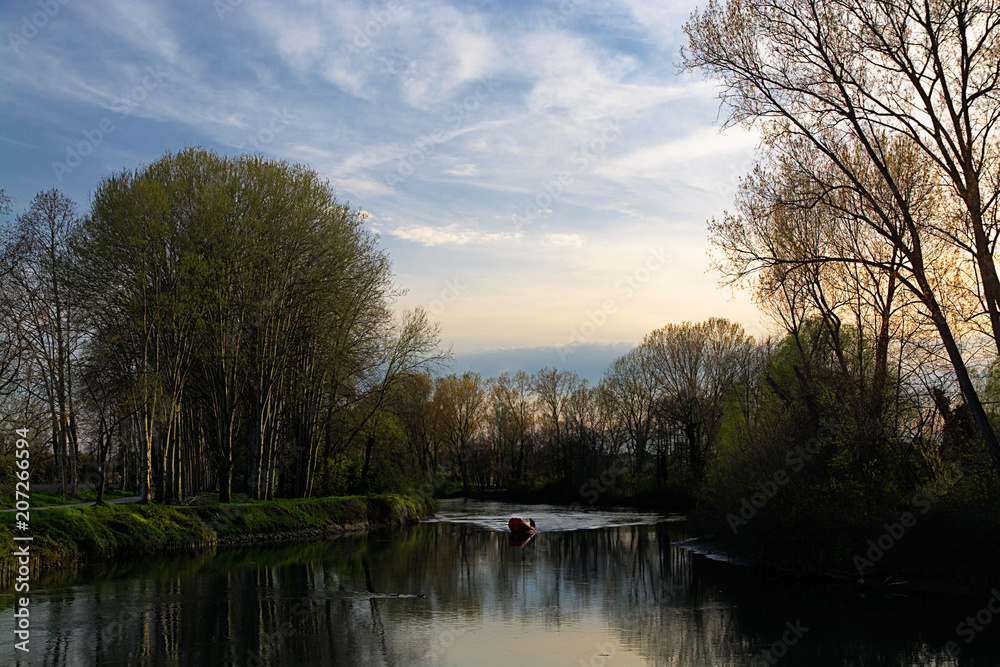 boat, italy, river, treviso, water, old, wood, acqua, alberi, barche, casier, characteristic, culture, fiume, glimpse, green, italia, italian, light, natura, nature, nature photograph, parco, park, pa