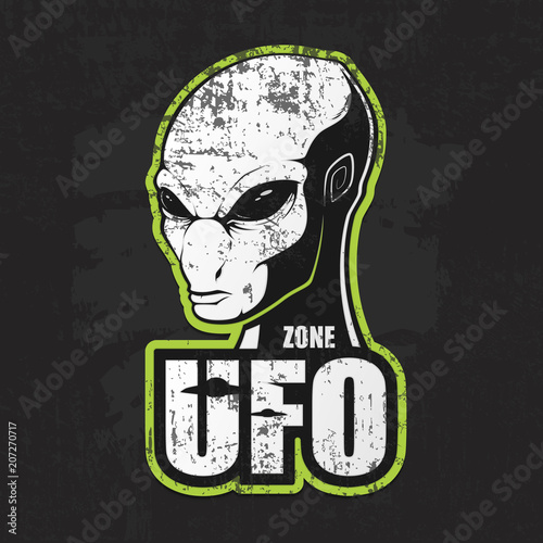  Head of the alien and the zone of UFO