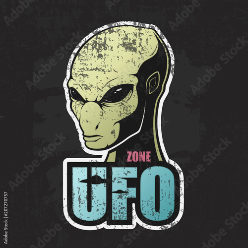  Head of the alien and the zone of UFO
