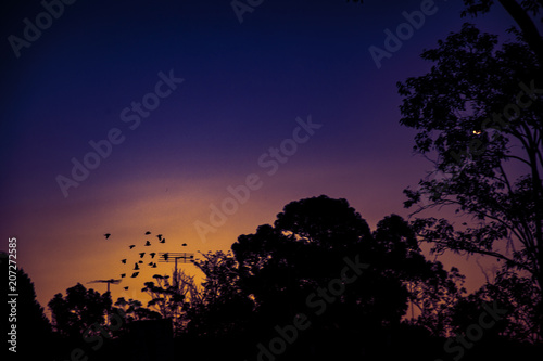 Last Sunset