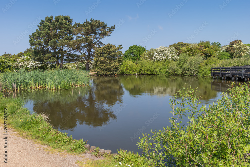 Fototapeta premium lake in country park