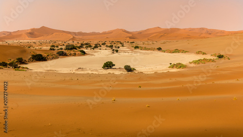 Argile sable et chaleur dans les dunes entourant Sossusvlei