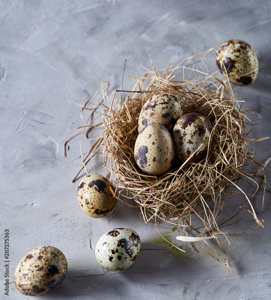 Obraz premium Conceptual still-life with quail eggs in hay nest over grey background, close up, selective focus