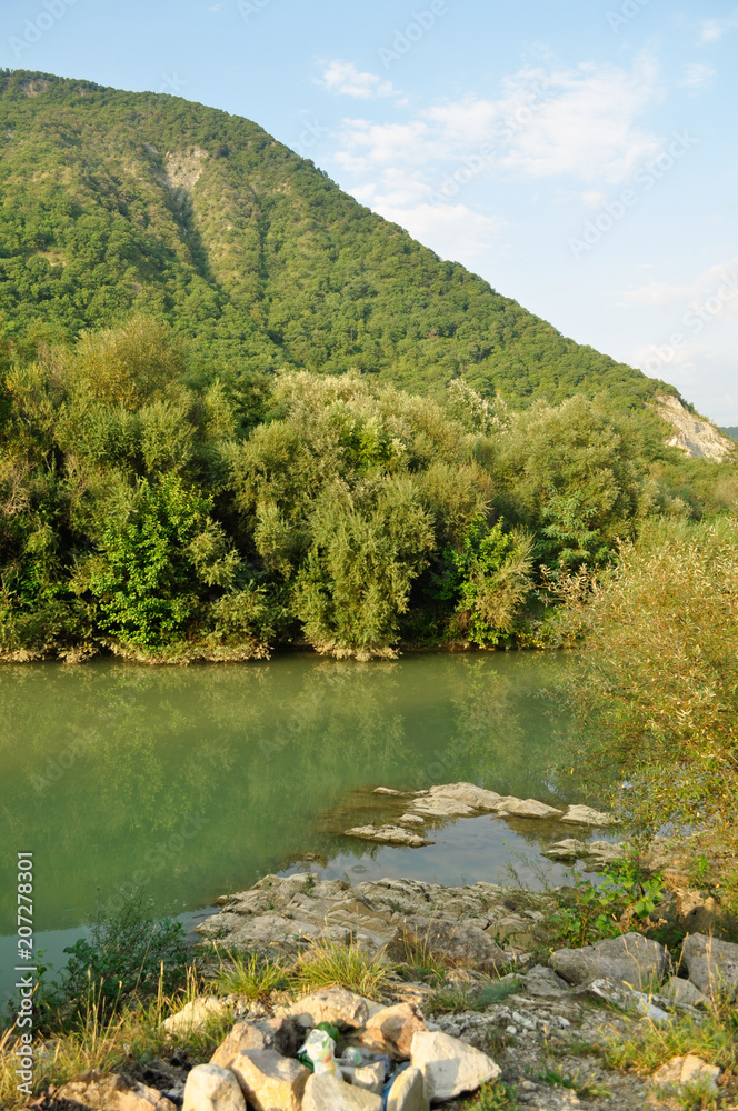 view of the mountains and trees on a sunny day