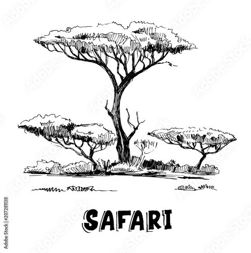 Sketch of the African savanna