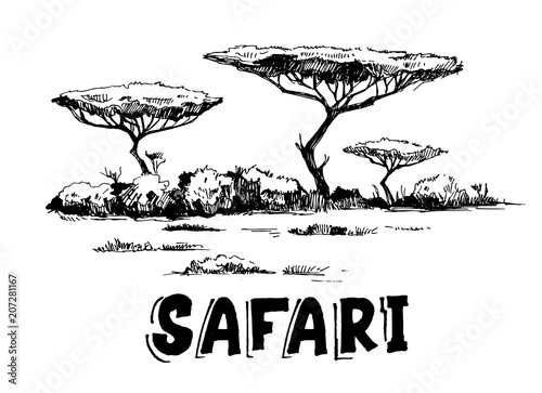 Sketch of the African savanna