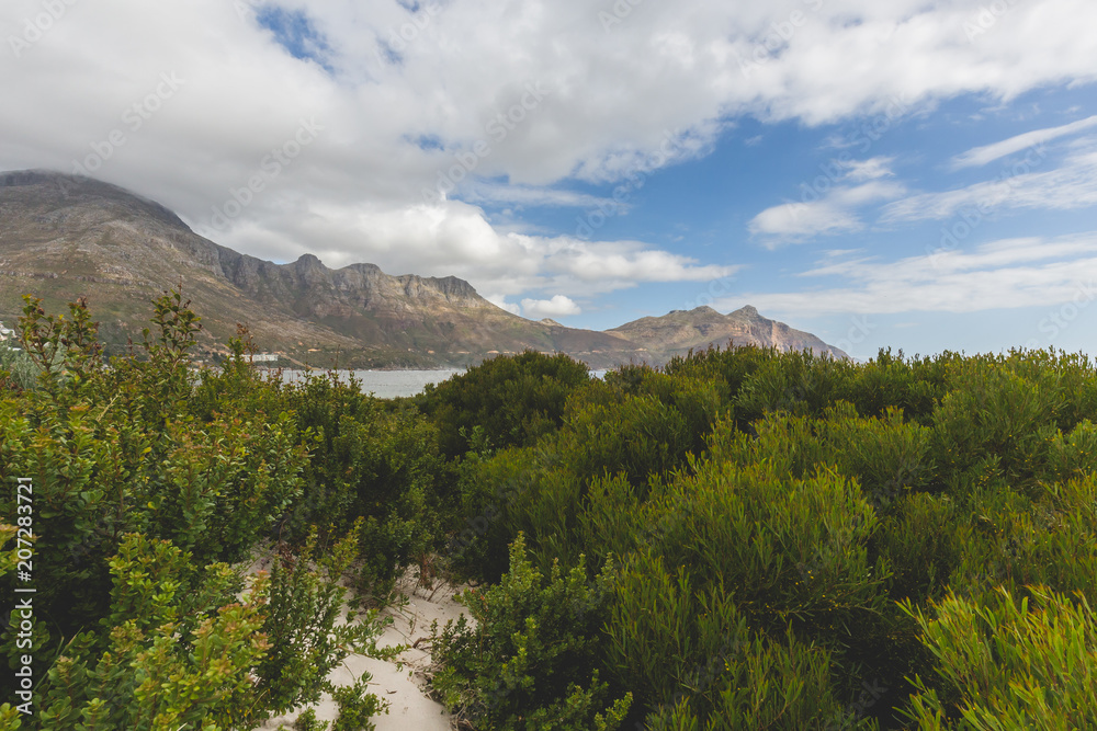 Fototapeta premium View of Chapman's Peak Drive from Hout Bay in Cape Town