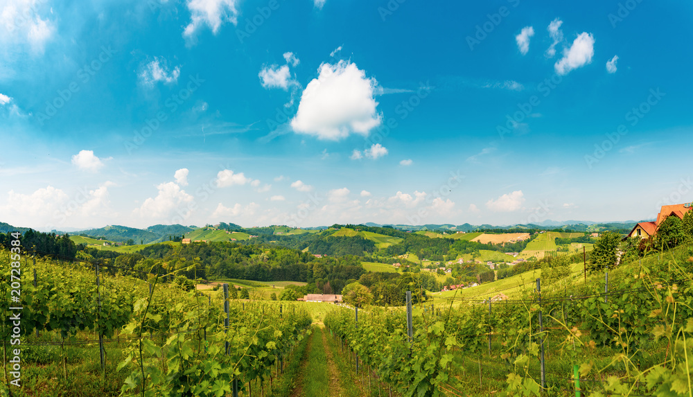 Austria Vineyards Leibnitz area south Styria travel spot