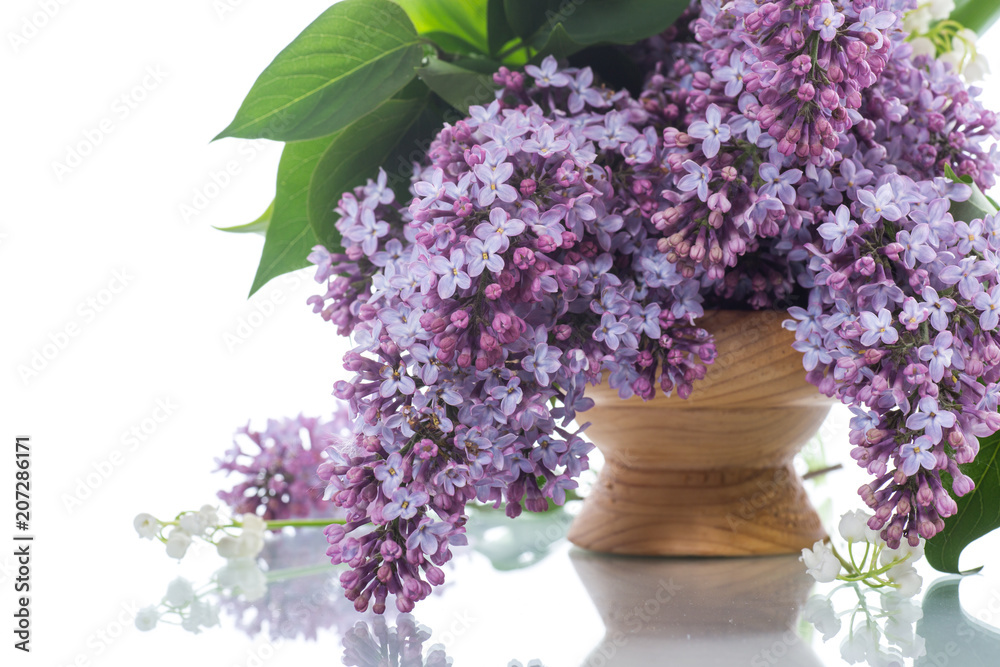 branch of blossoming spring lilac branch of blossoming spring lilac