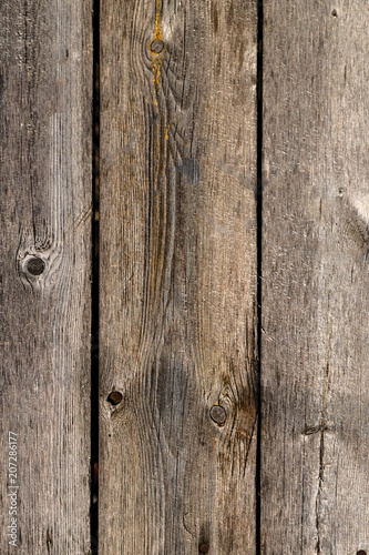 Wooden background of pine boards
