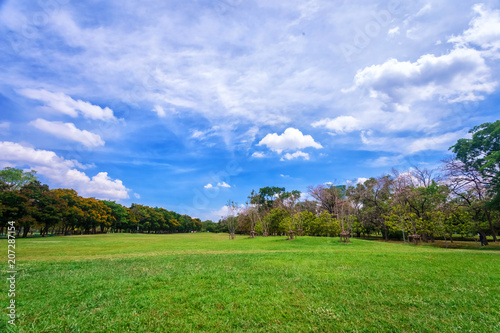 Beautiful park scene in public park with green grass field, © songphon