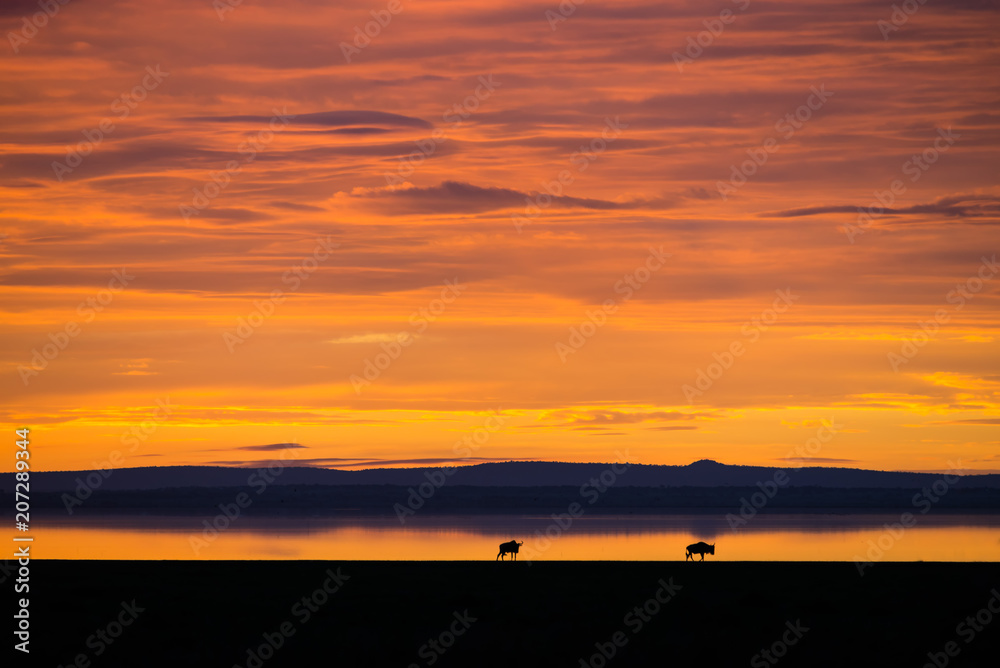 Sunrise over an african lake and two wildebeests