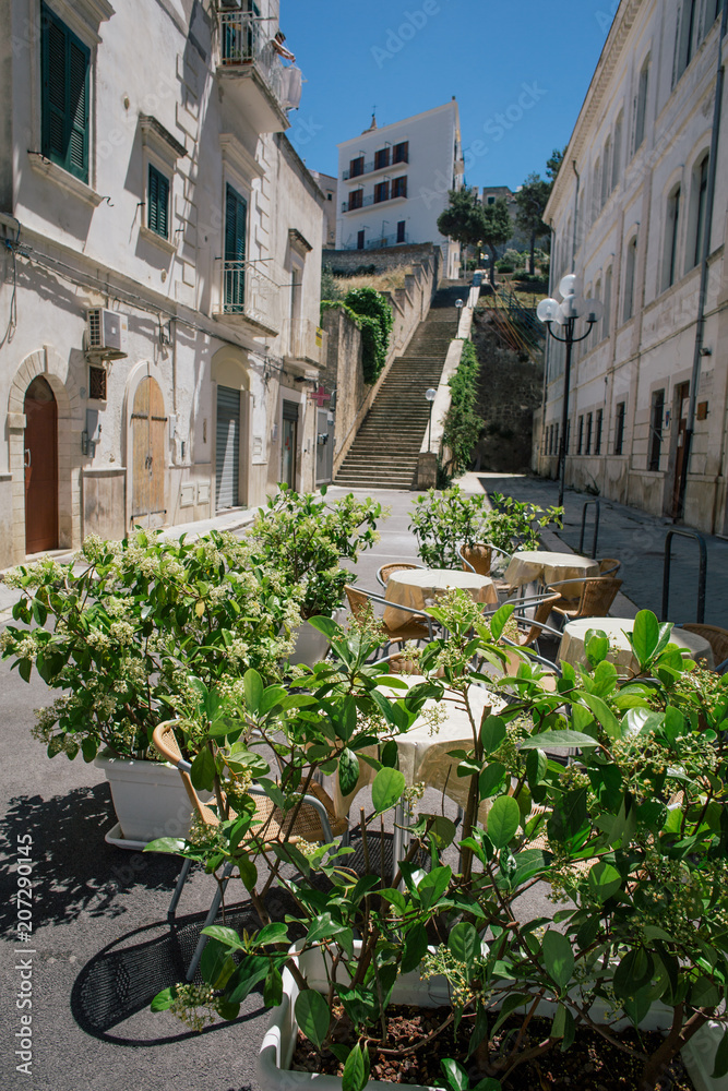 Fototapeta premium Vieste apulia old wtite city in Italy