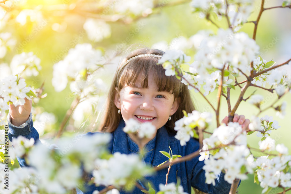 Portrait of a girl in blossoming apple tree. A little girl of 5 years of age in a jeans dress among the flowers in a spring apple orchard. Portrait of a girl in blossoming apple tree. A little girl of 5 years of age in a jeans dress among the flowers in a spring apple orchard.