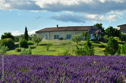 Provence rural landscape, France