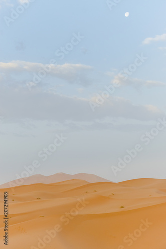 Dune Lanscape