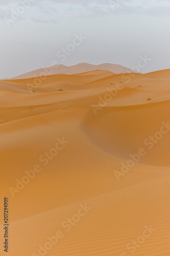 Dune Lanscape