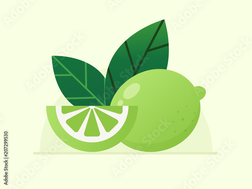 Lime Fruit. Flat design Style. 