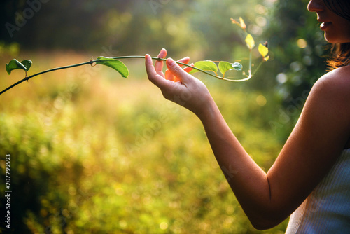 Принти на полотні Young woman holding branch of the tree