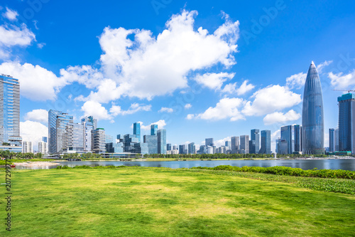 green lawn in park with city skyline