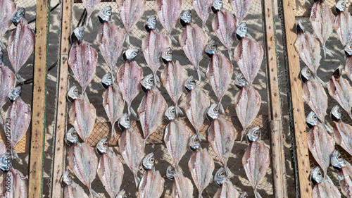 Traditional fish-drying on the beach of Nazare, Portugal, a fishermen village on the Atlantic coast photo