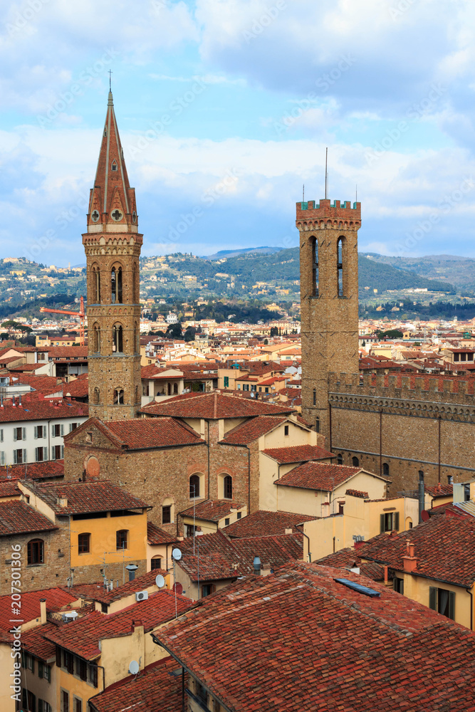 View of Firenze 