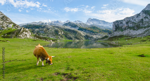 фотографія Lagos de covadonga