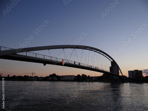 La Passerelle des Trois Pays