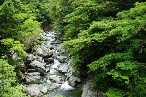 渓流