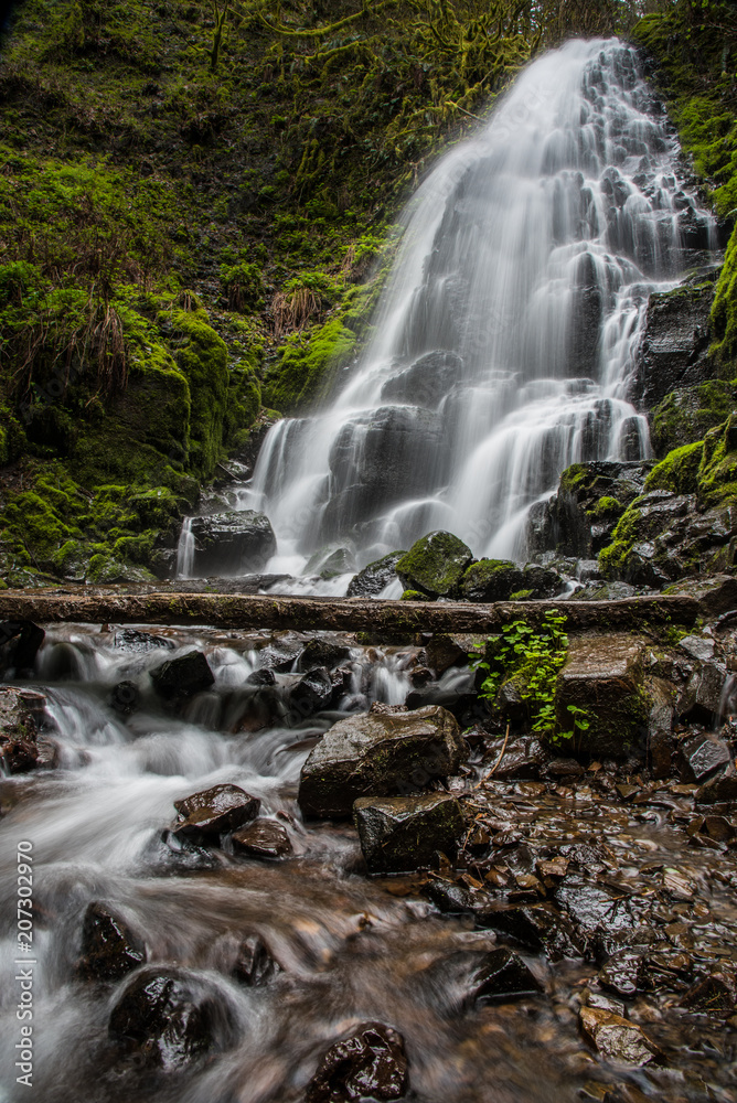 Fototapeta premium Lush waterfall in Oregon's Columbia River Gorge