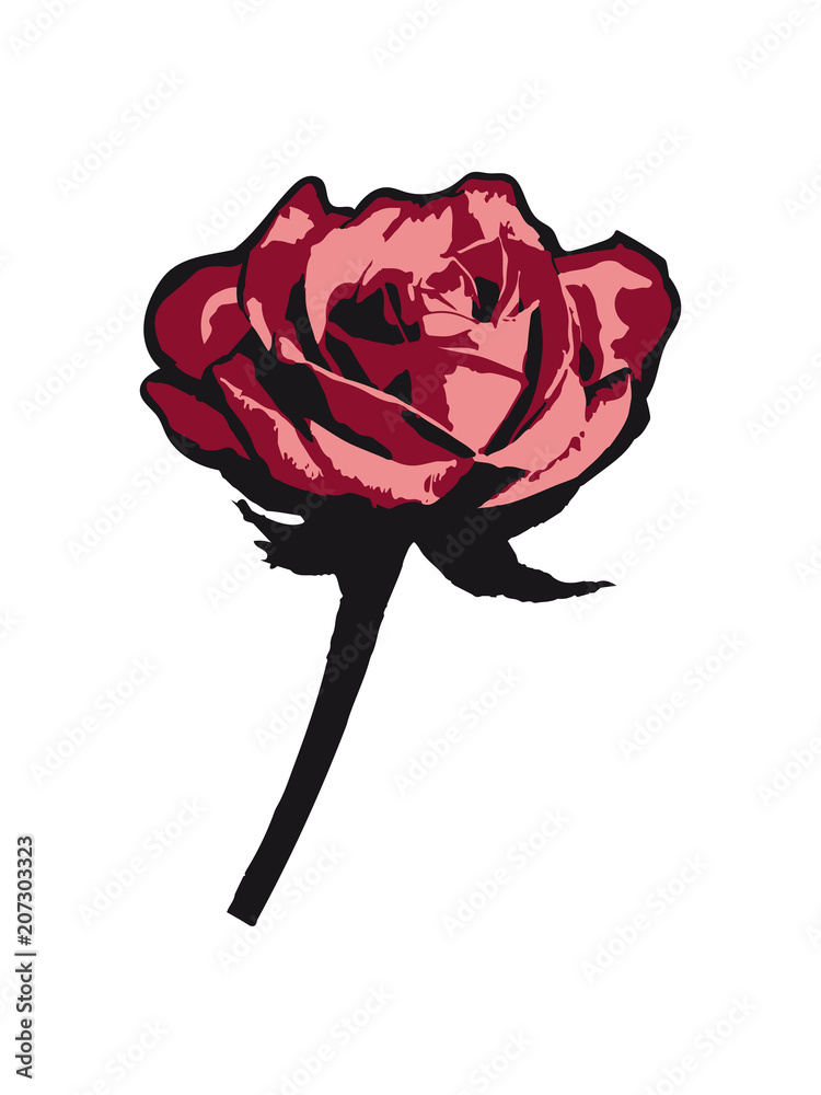 rose blume blüten frühling hübsch schön blätter pflanze natur design cool clipart rose blume blüten frühling hübsch schön blätter pflanze natur design cool clipart