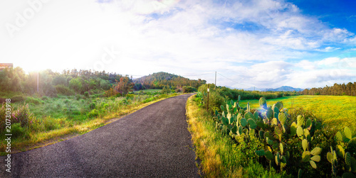 Road to Green Energy