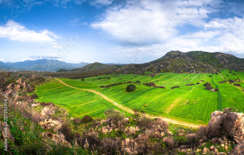 Green Hills Landscape
